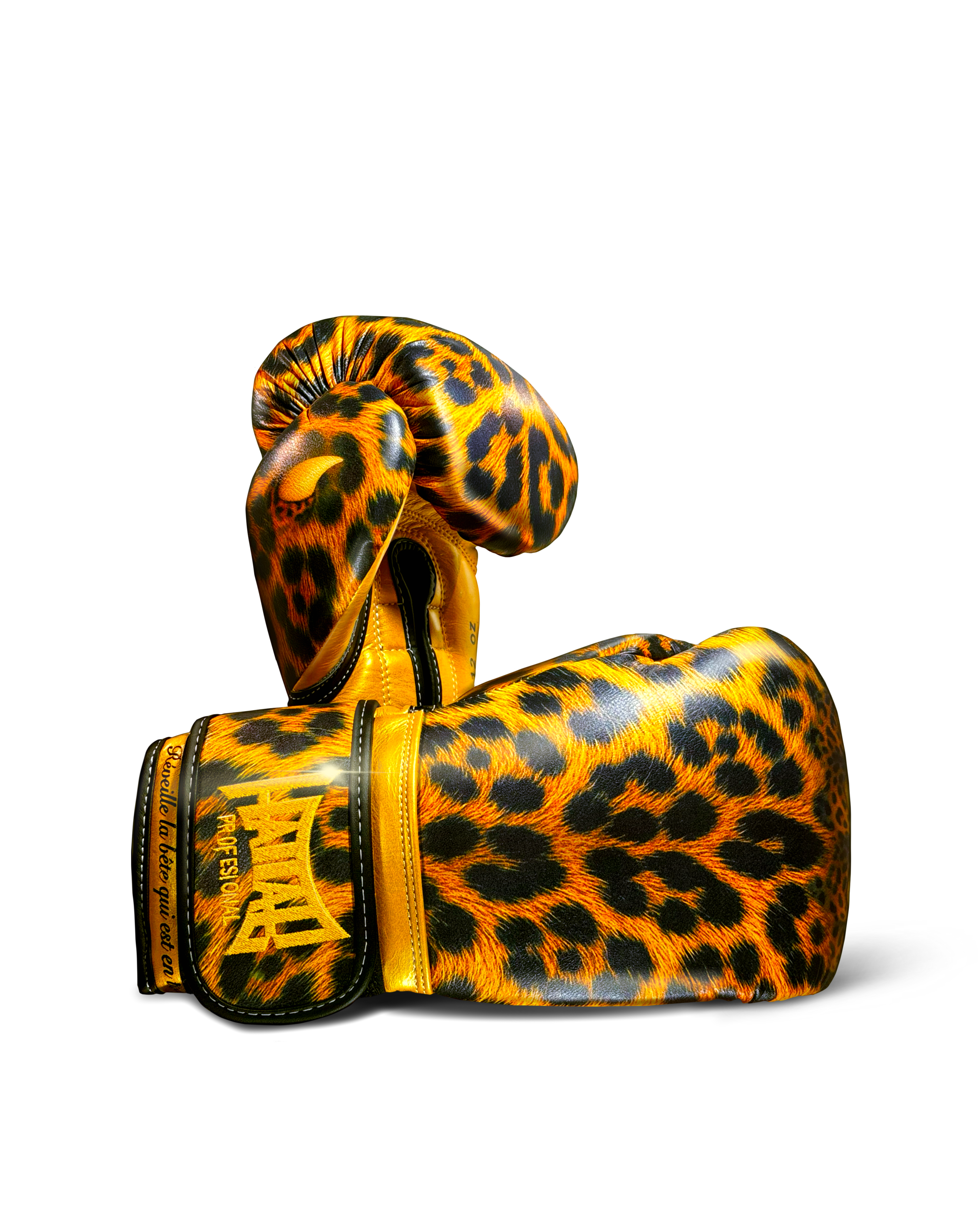 Gants de boxe “Jaguar”
