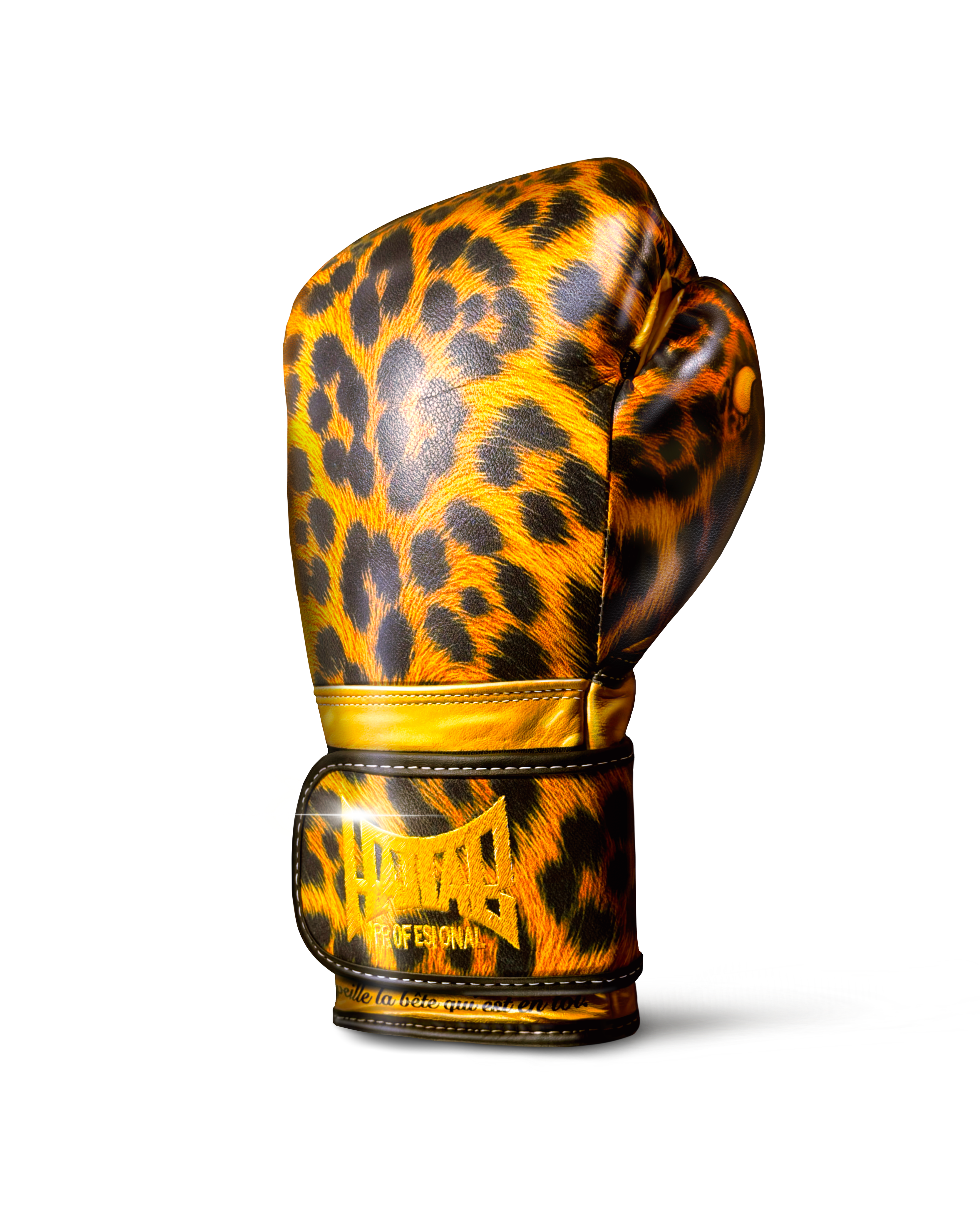 Gants de boxe “Jaguar”