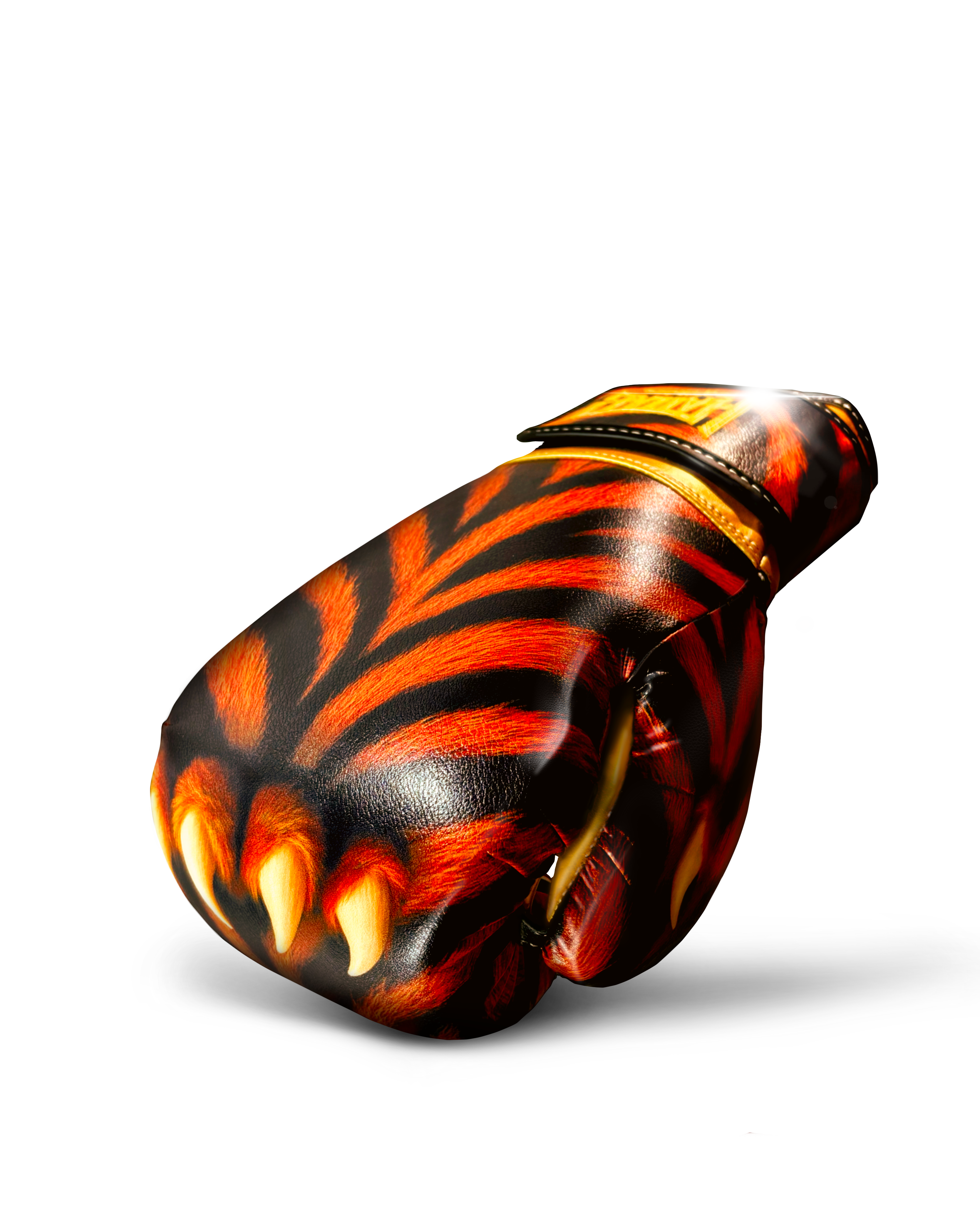 Gants de boxe “Tiger”