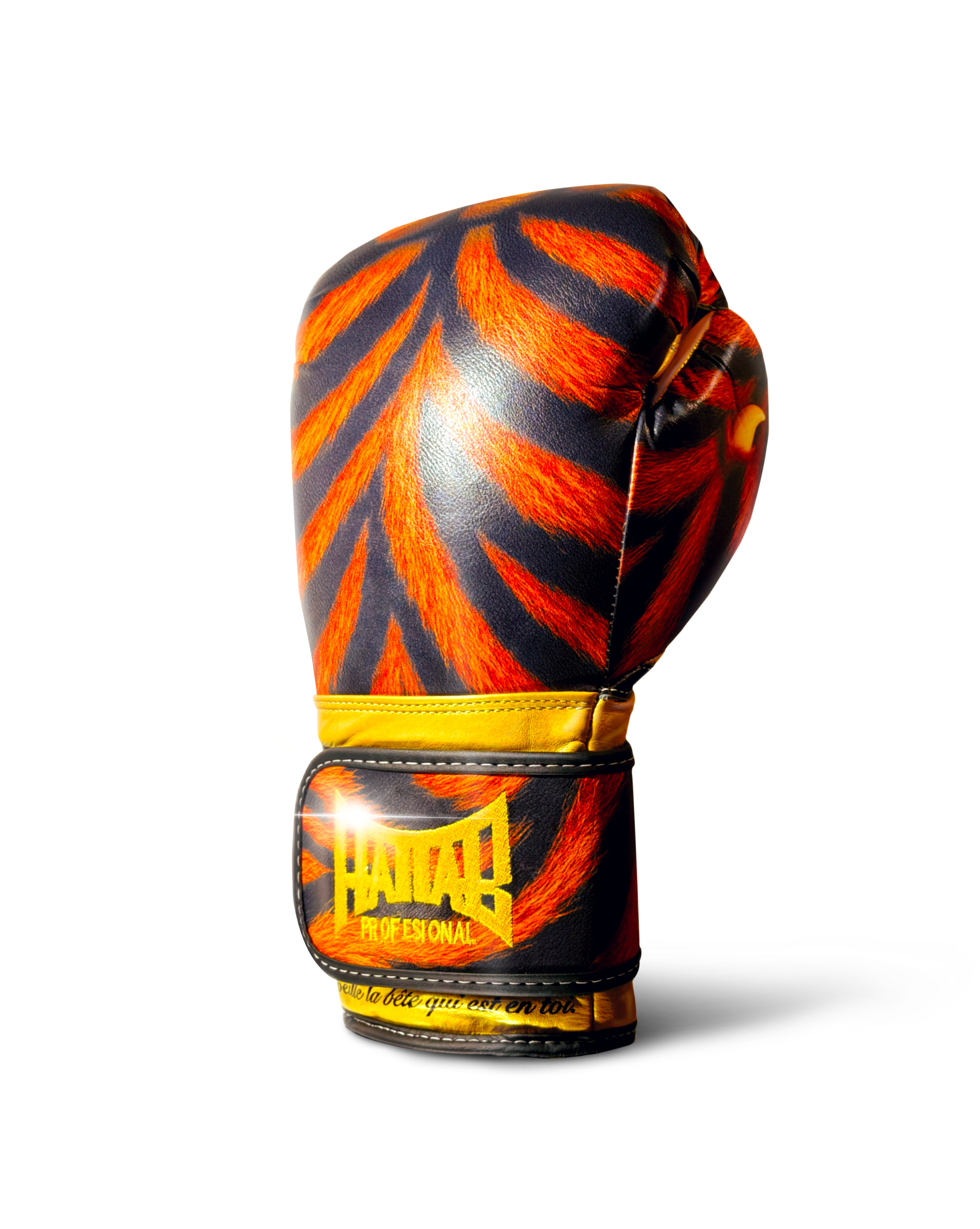 Gants de boxe “Tiger”