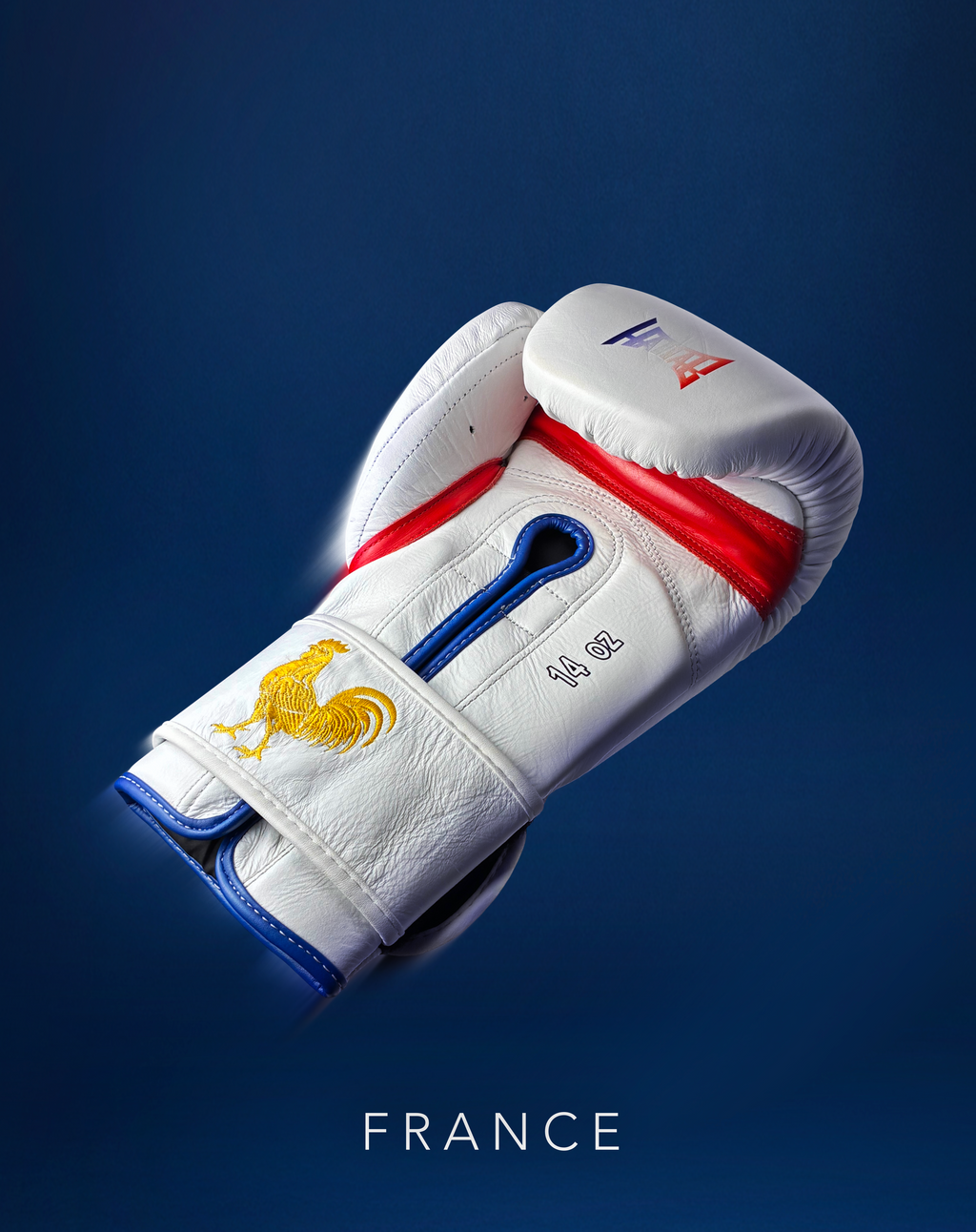Gant de Boxe “France”