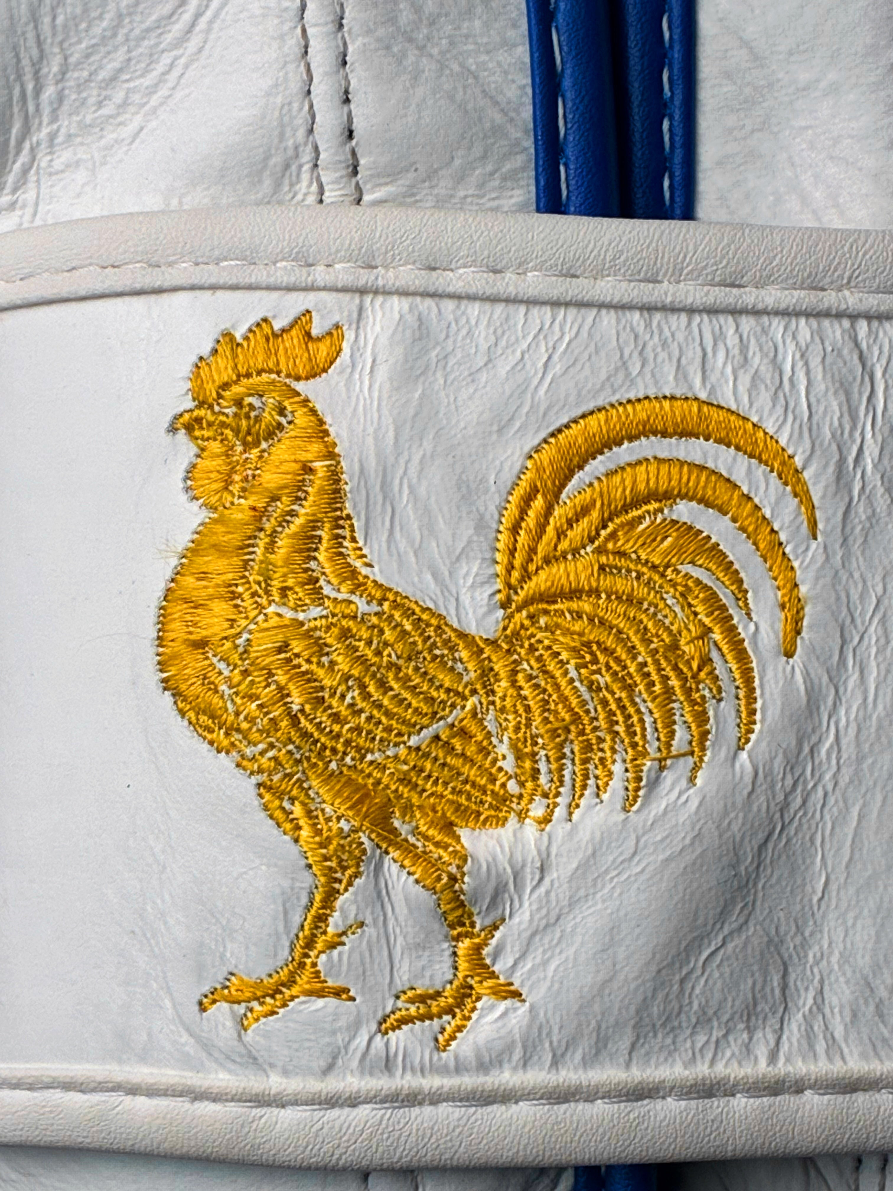 Gant de Boxe “France”